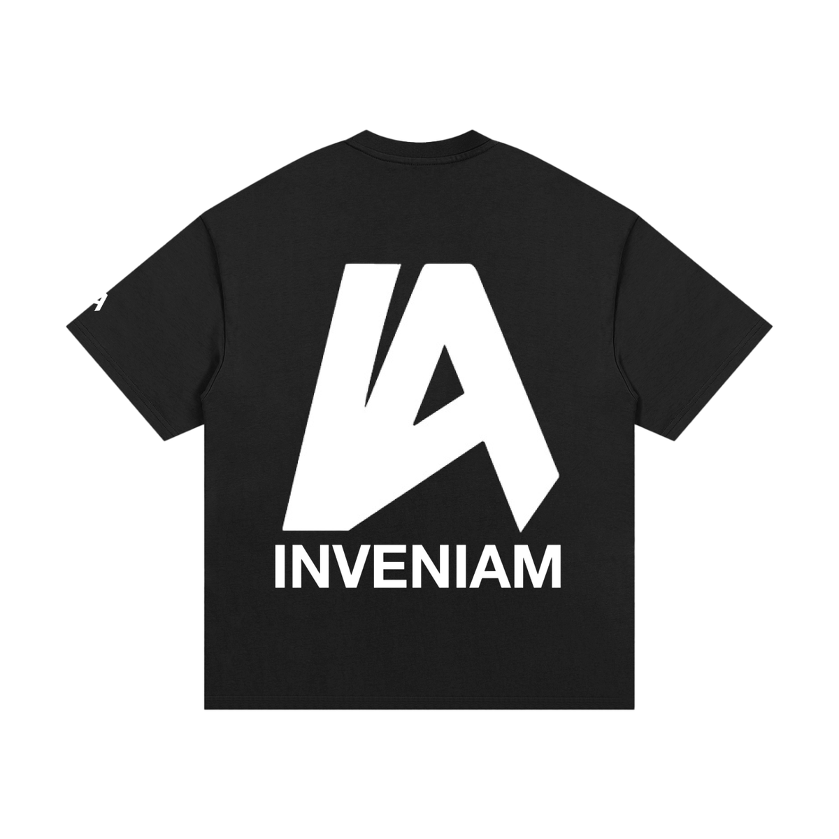 Inveniam Heavyweight T-Shirt