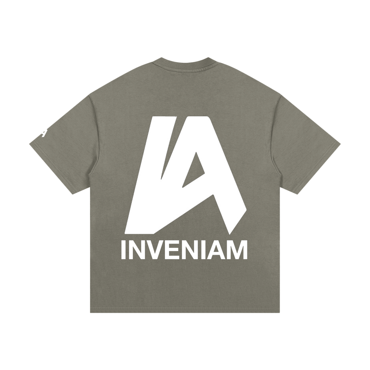 Inveniam Heavyweight T-Shirt